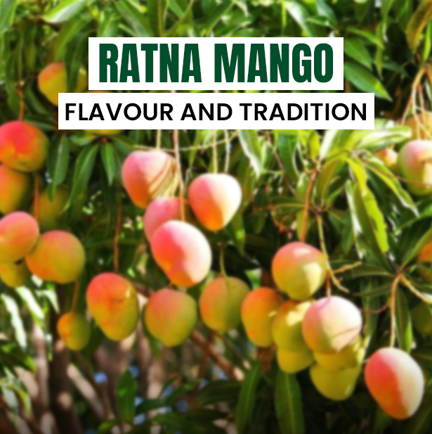 Ratna Mangoes