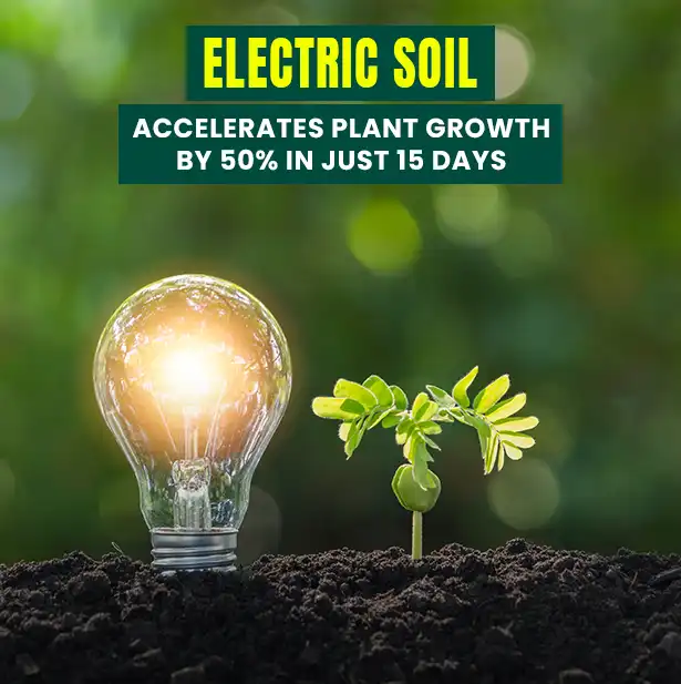 Electric Soil Accelerates Plant Growth by 50% in Just 15 Days