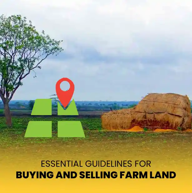 Farm land Chennai