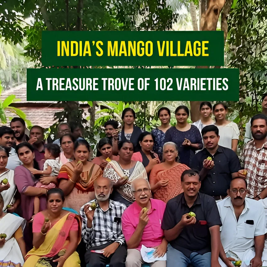 India’s Mango Village: A Treasure Trove of 102 Varieties