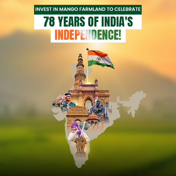 Invest in Mango Farmland to Celebrate 78 Years of India's Independence!