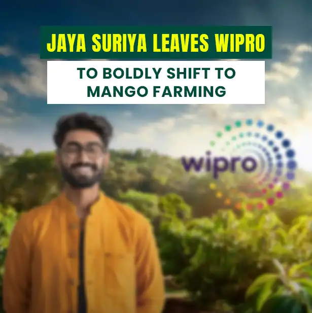 Jaya Suriya Leaves Wipro to Boldly Shift to Mango Farming