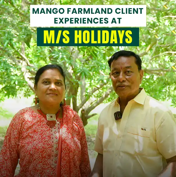 10 Important Tips for Buying Mango Farmland in Tiruttani