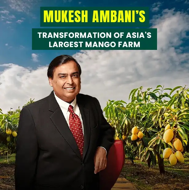 Mukesh Ambani’s Transformation of Asia's Largest Mango Farm