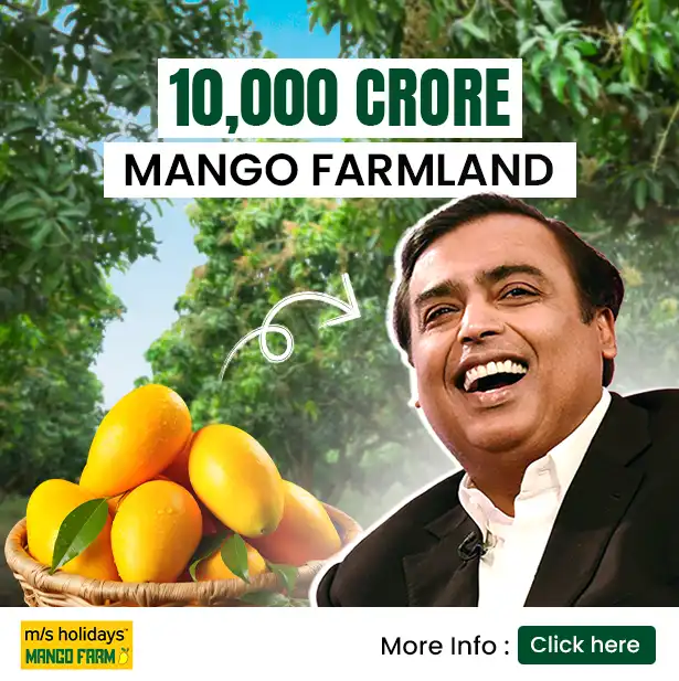 Mango Farmland Chennai