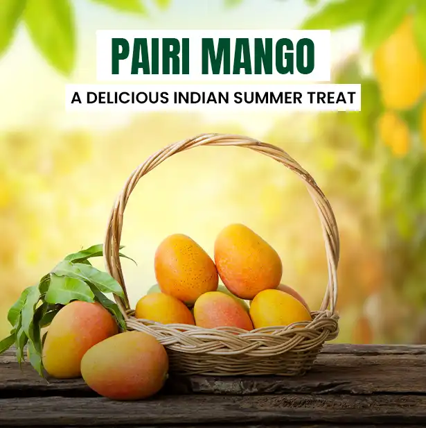 Pairi (Paheri) Mango