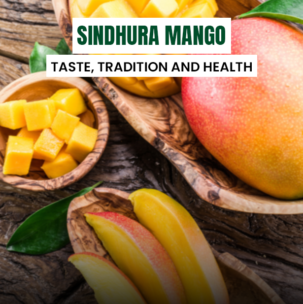 Sindhura Mango