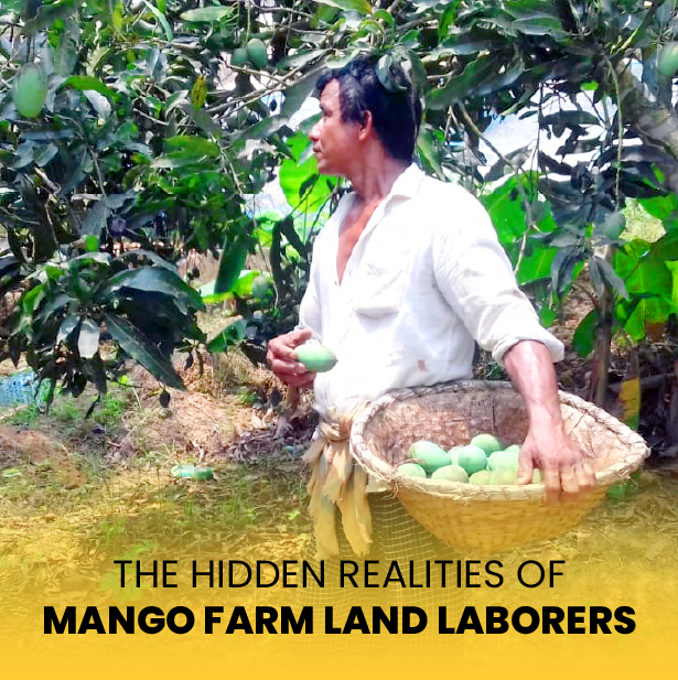 Mango Farm land Chennai