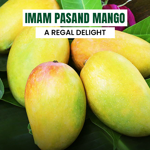 Imam Pasand Mangoes