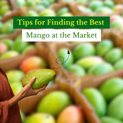 Tips for Finding the Best Mango at the Market