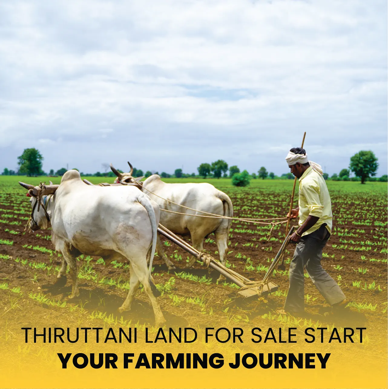 Farm land for sale Tiruttani