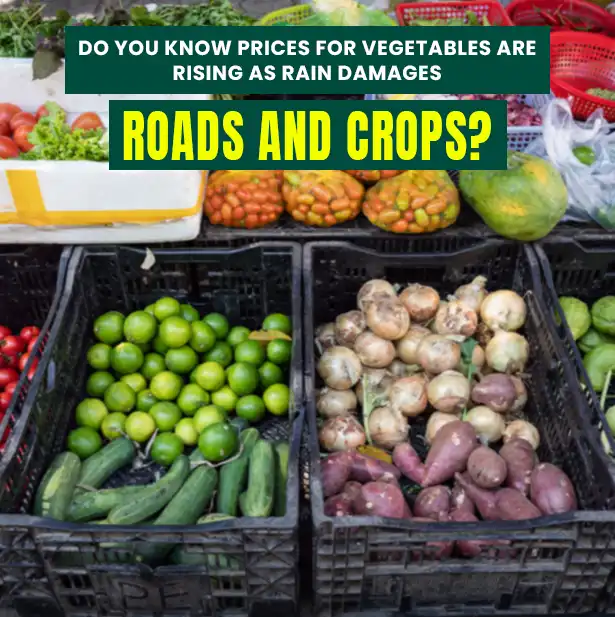 Do you know prices for vegetables are rising as rain damages roads and crops?